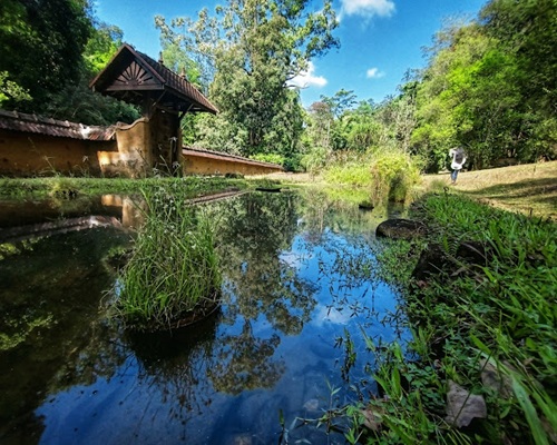 Botanical Gardens