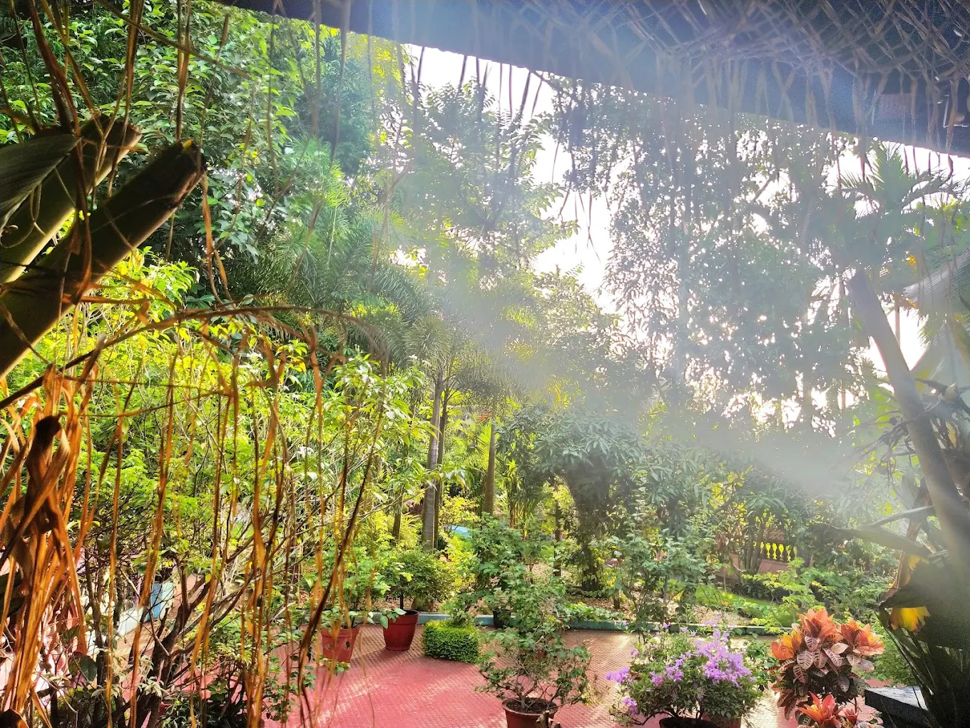 Kalariyil Dharmikam Ashram Kalari Chikitsa Ayurvedic healing and wellness therapies in Thiruvananthapuram