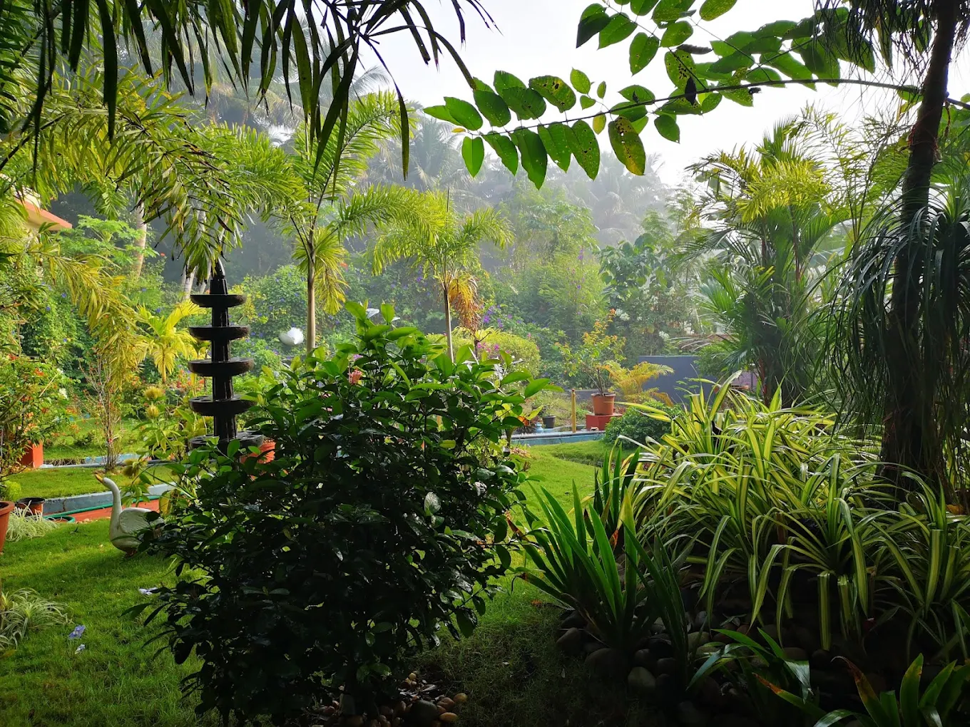 Ayurvedic treatment and Marma Chikitsa healing therapies at Kalariyil Dharmikam Ashram Kerala