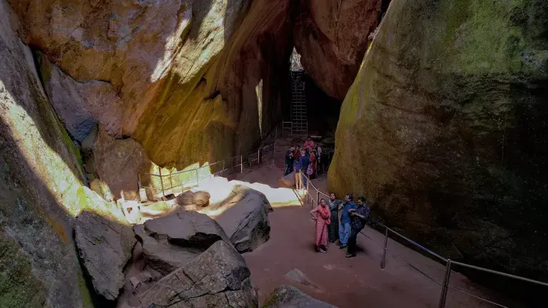 Agasthyarkoodam Seasonal Trekking 2026 through Western Ghats forest trail