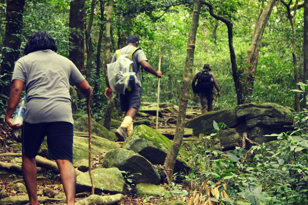 Agasthyarkoodam mountain