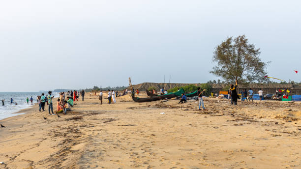  Cherai Beach  view 