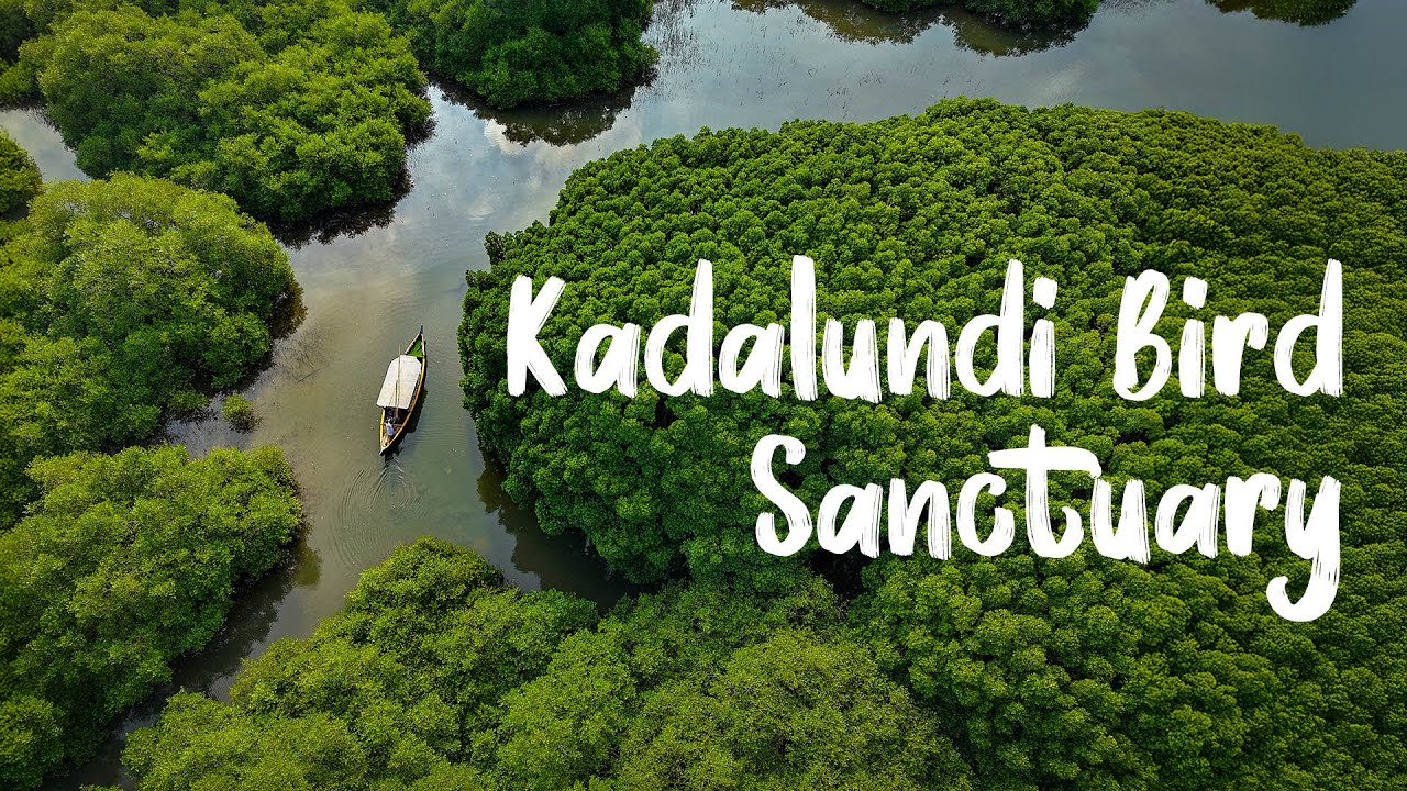 Kadalundi Bird Sanctuary in Kerala