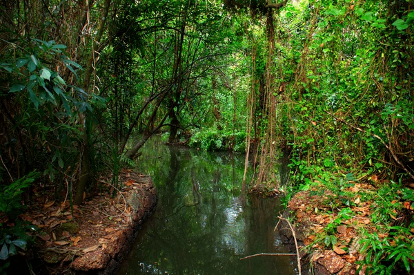 Kumarakom Bird Sanctuary tourist place 