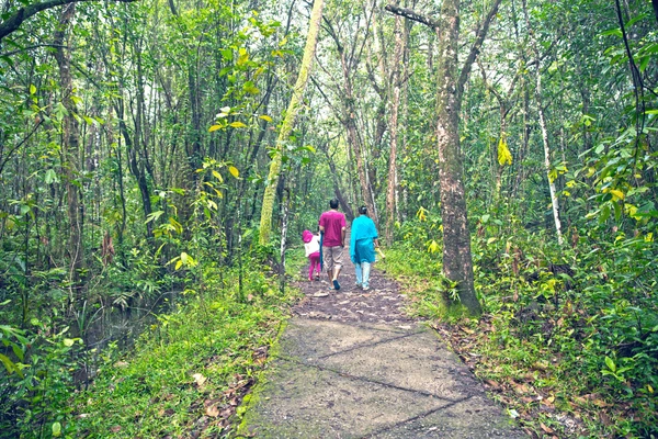 Kumarakom Bird Sanctuary in Kerala