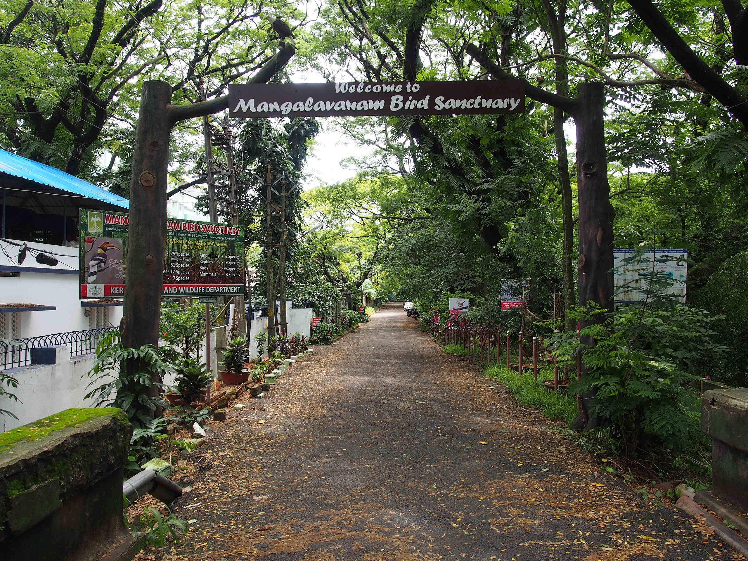  Mangalavanam Bird Sanctuary 