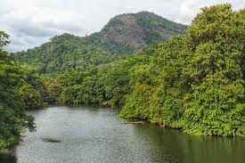 Thattekad Bird Sanctuary tourist place 