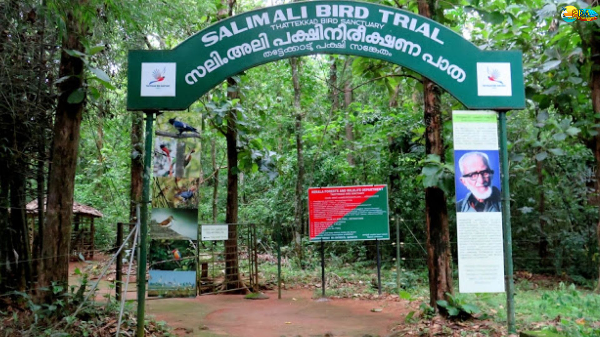 Thattekad Bird Sanctuary in Kerala