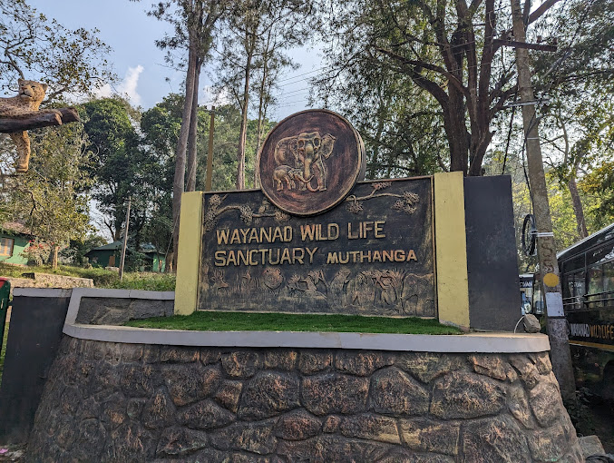 
Muthanga Wildlife Sanctuary and Edakkal Caves, Wayanad