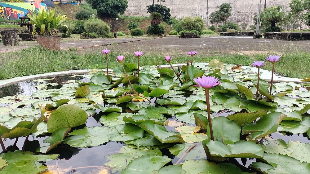 Malampuzha Garden & Dam tourist place 