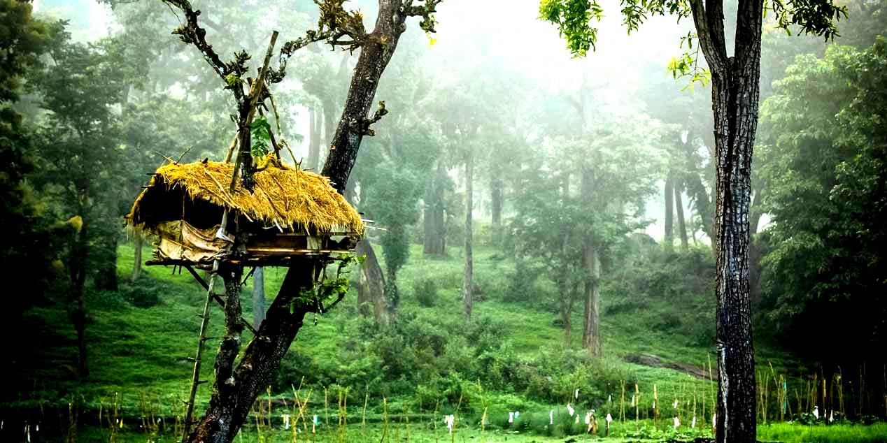 Muthanga Botanical Garden tourist place 