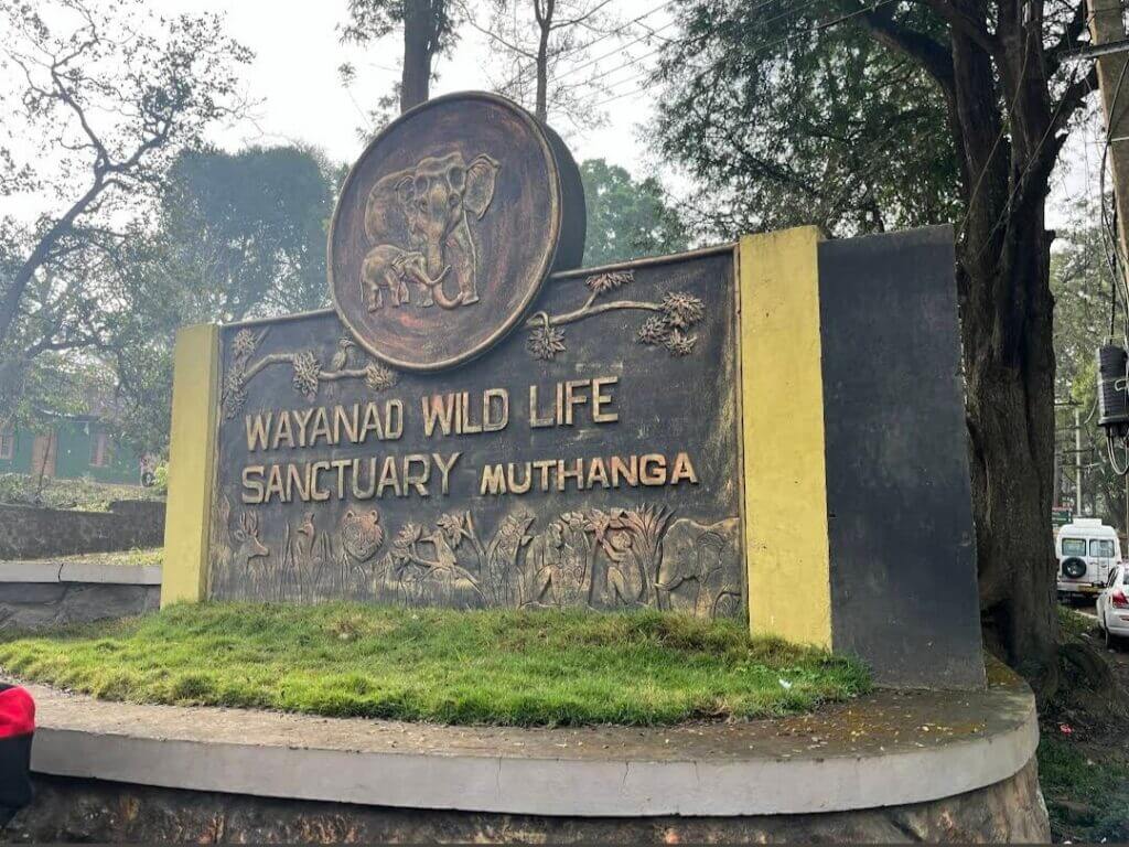 Muthanga Wildlife Sanctuary and Edakkal Caves, Wayanad