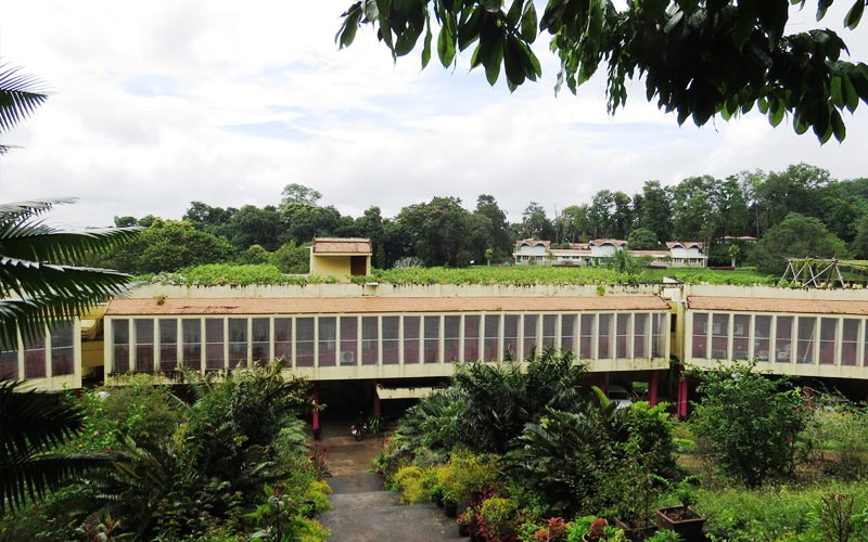 Jawaharlal Nehru Tropical Botanic Garden Kerala