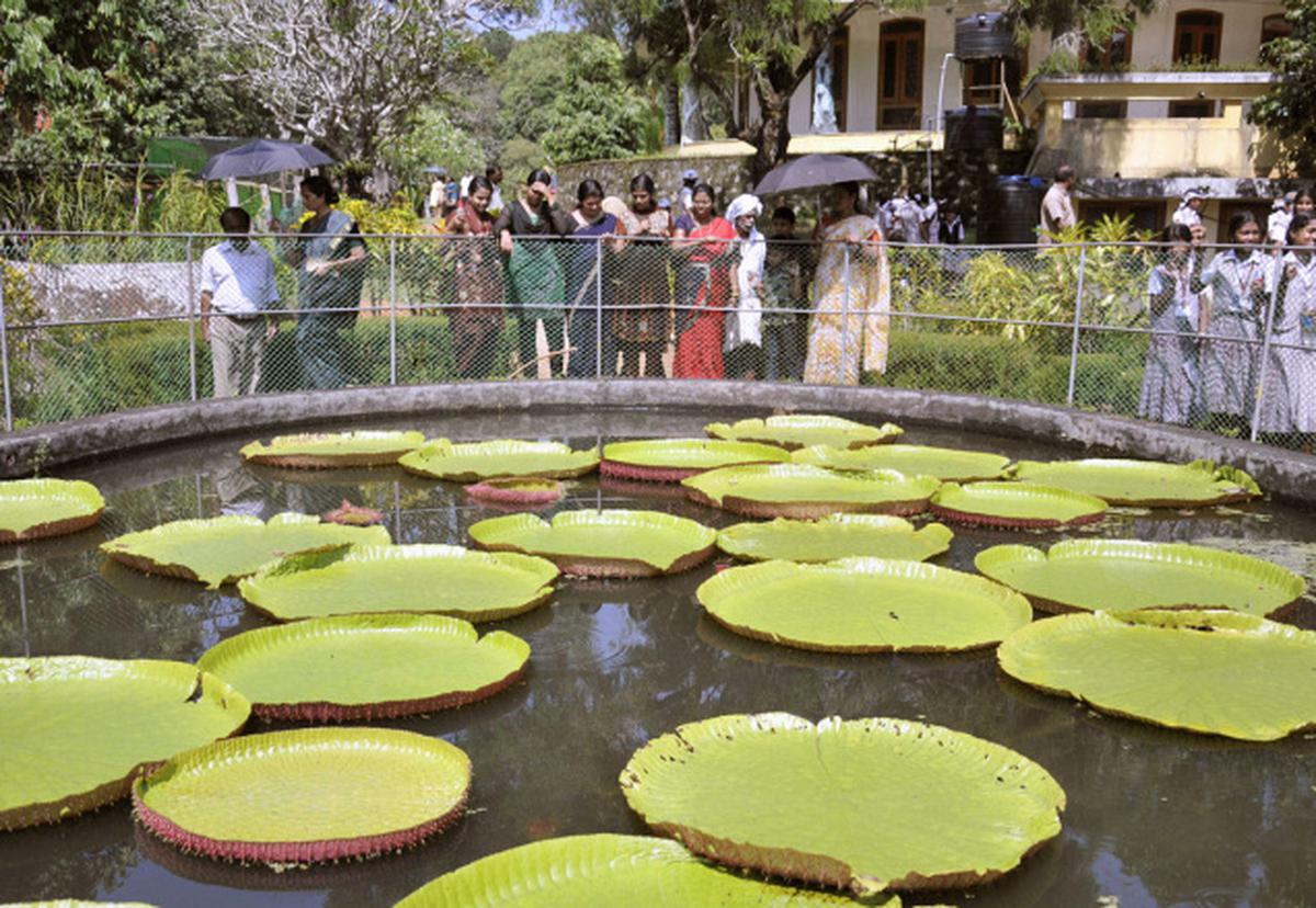 Jawaharlal Nehru Tropical Botanic Garden tourist place 