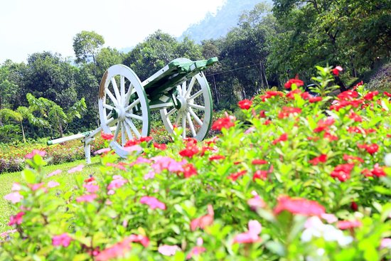 Thekkady Rose Park tourist place 