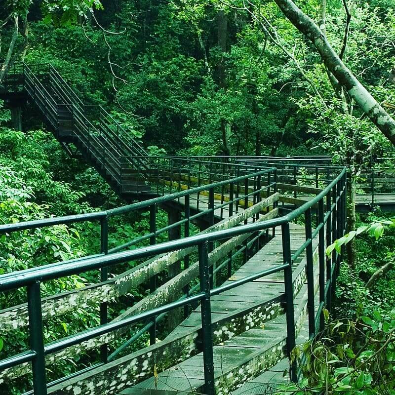  Thenmala Butterfly Safari Park view 