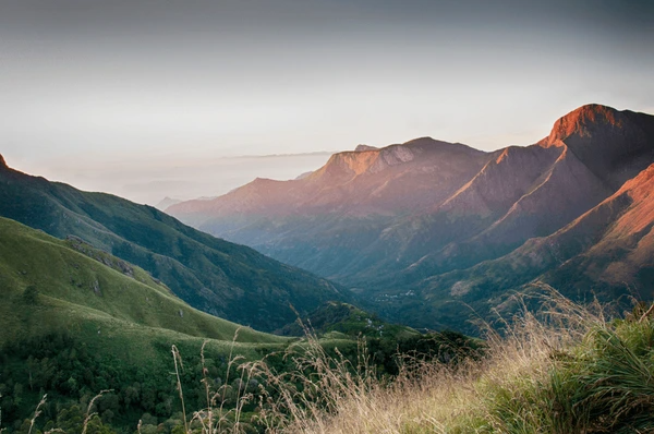 Munnar Hill Station tourist place 