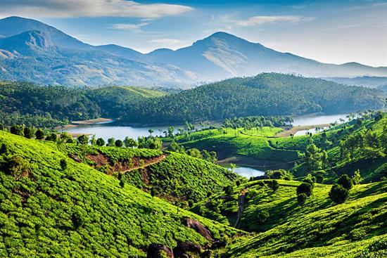 Thekkady Hills Kerala