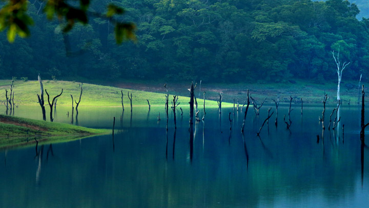 Thekkady Hills tourist place 