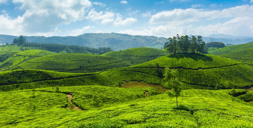 Thekkady Hills in Kerala