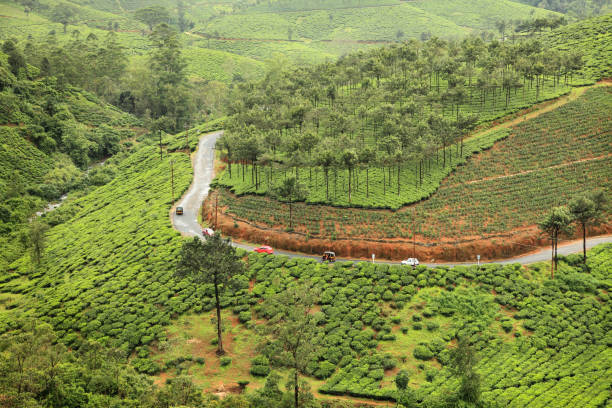  Vagamon Hills view 