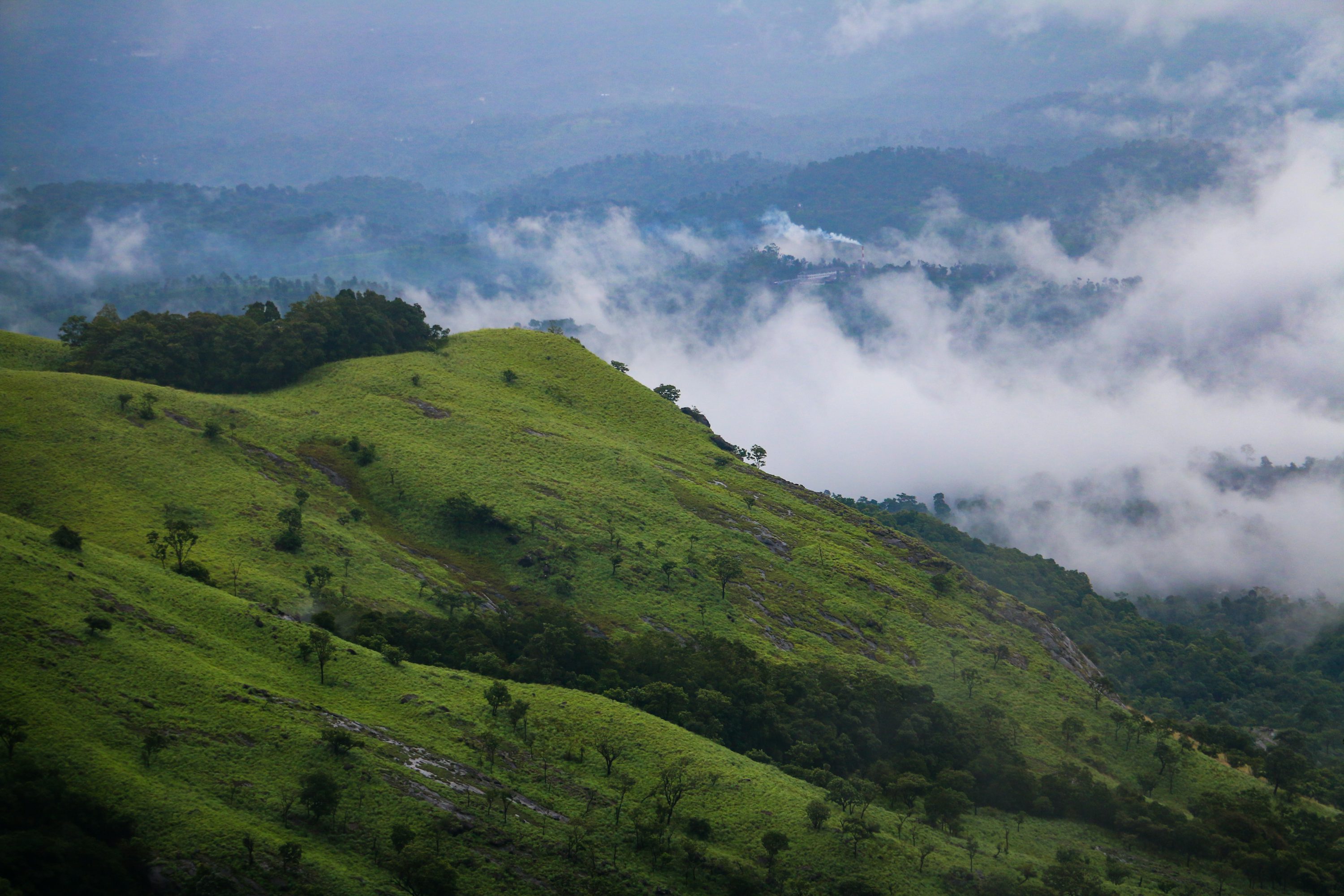 Wayanad Hill Station Kerala