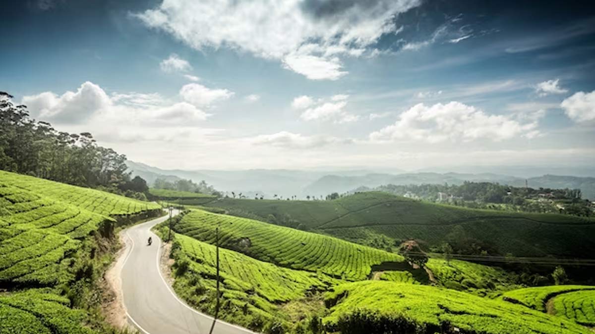  Wayanad Hill Station view 
