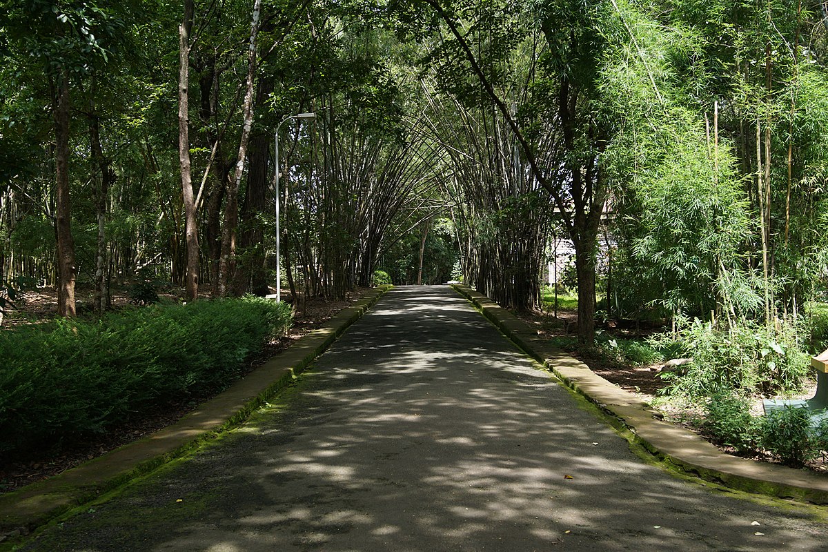 Teak Museum Kerala