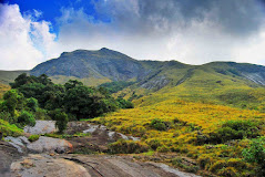 famous National Parks in Kerala