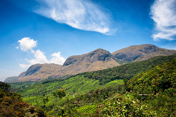 Eravikulam National Park  Kerala
