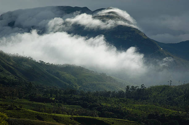 Eravikulam National Park 