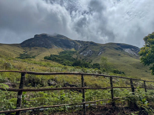 Eravikulam National Park  in Kerala