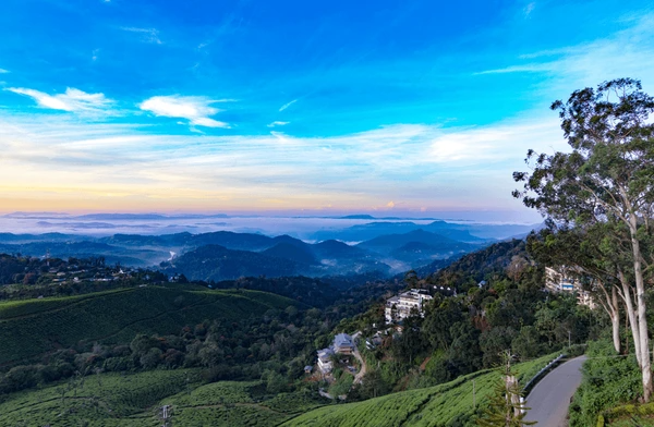  Anamudi Shola National Park 