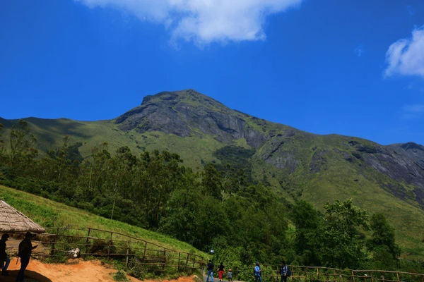 Anamudi Shola National Park tourist place 