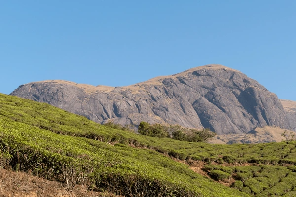 Anamudi Shola National Park in Kerala