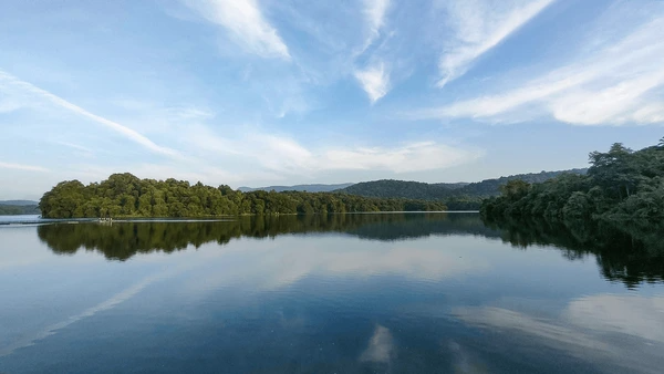  Peechi-Vazhani Wildlife Sanctuary 