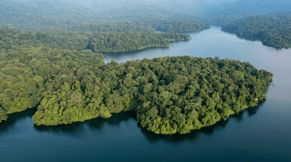 Peechi-Vazhani Wildlife Sanctuary in Kerala