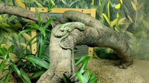 Snake Park Poojapura  Kerala