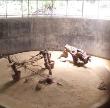 Snake Park Poojapura  tourist place 