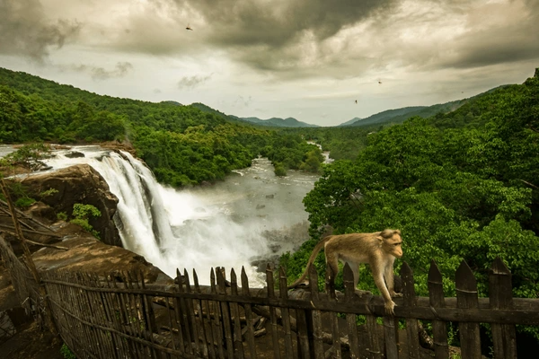  Athirappilly Waterfalls water falls 