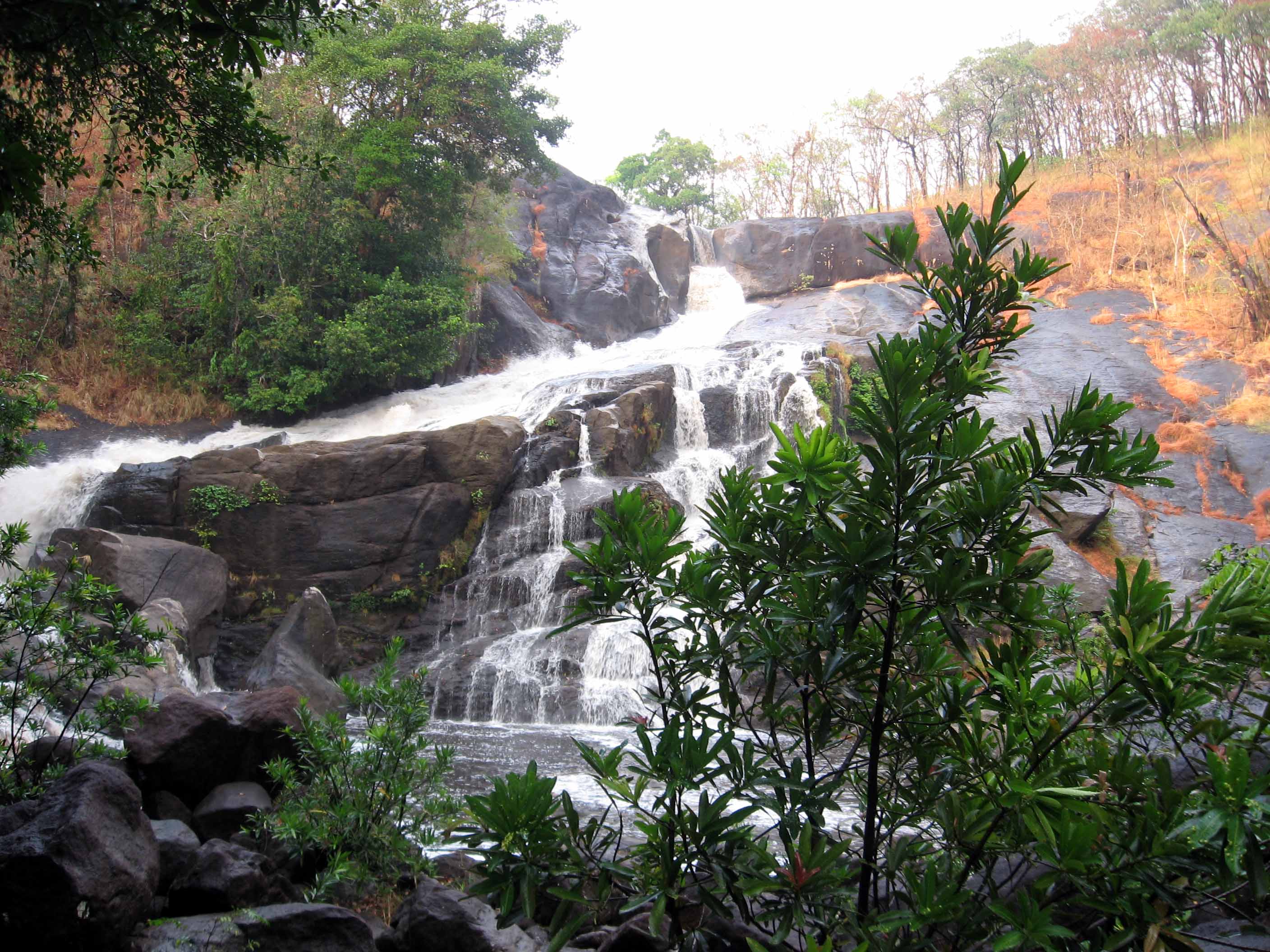  Kombaikani & Meenmutti Waterfalls view 