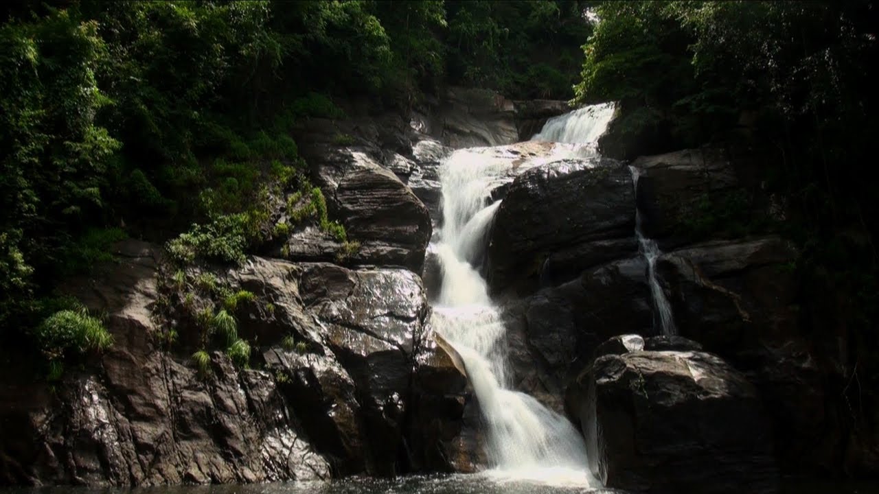 Kombaikani & Meenmutti Waterfalls in Thiruvananthapuram