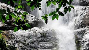 Palaruvi Waterfalls tourist place 