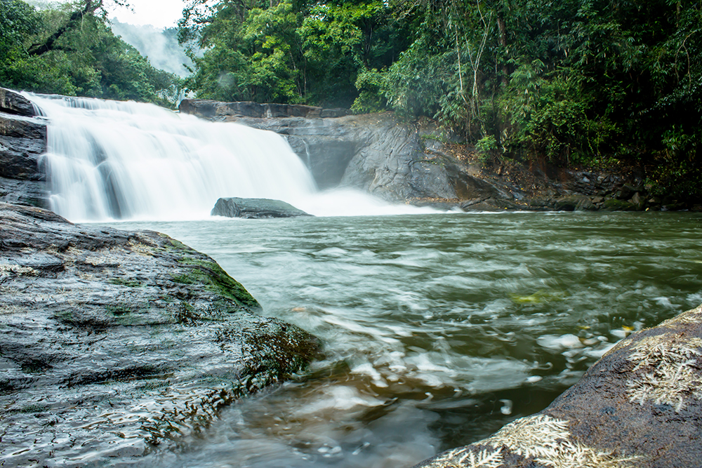 Thommankuthu Waterfalls in Idukki