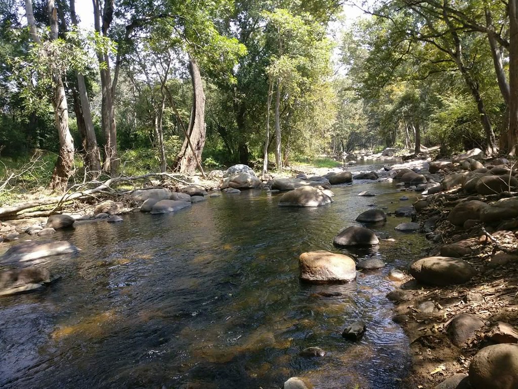Chinnar Wildlife Sanctuary Kerala