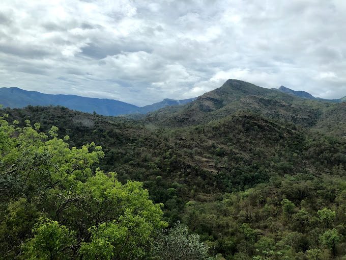 Chinnar Wildlife Sanctuary Idukki