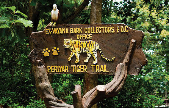  Periyar Wildlife Sanctuary view 