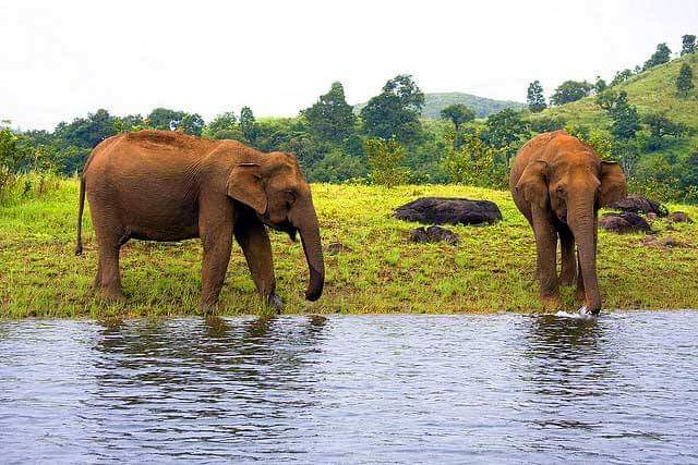 Periyar Wildlife Sanctuary Thekkady