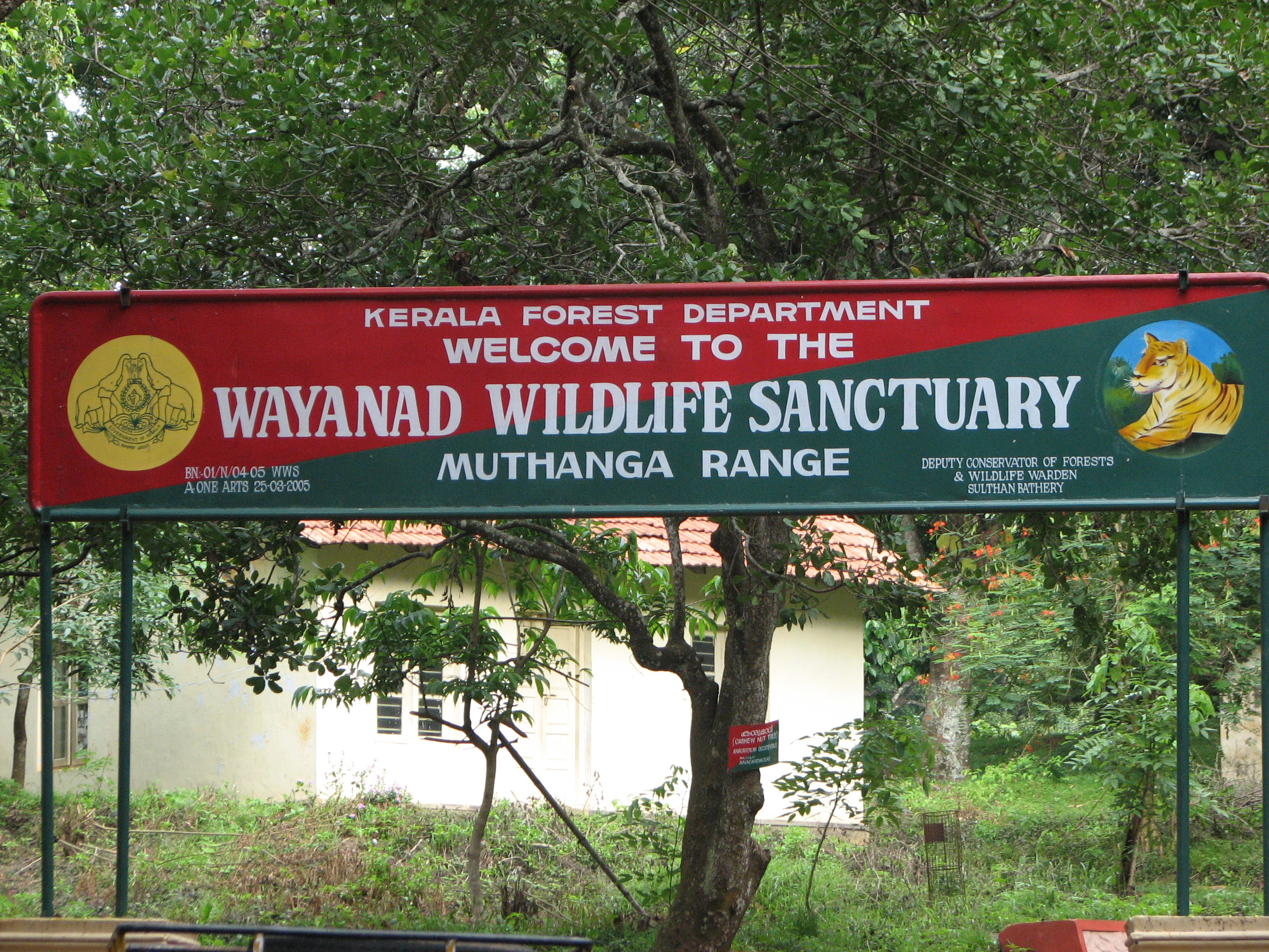 Wayanad Wildlife Sanctuary Kerala