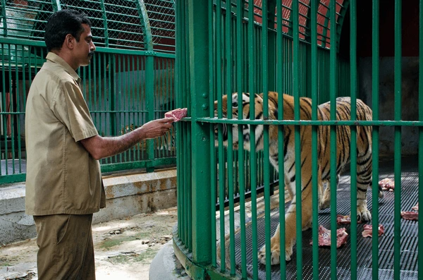Thiruvananthapuram Zoo Kerala